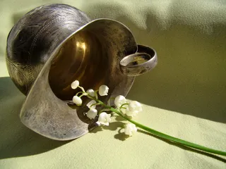 白色，有花瓣的花，灰色，花瓶，花，铃兰，春天，微距摄影