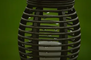 特写，容器，圆形，水滴，潮湿，绿色，无人，聚焦前景