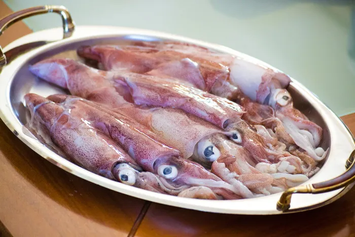 鱿鱼，海鲜，鱿鱼，海鲜，鱼类，食物，地中海，章鱼