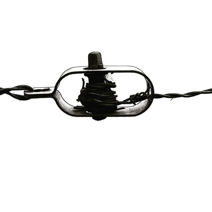 捕捉、熨烫、黑白、白色背景、工作室快照、复制空间、特写、单个对象