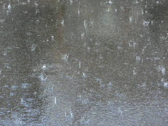 平原，暴雨，雨，地面，滴水，自然，颤抖，潮湿