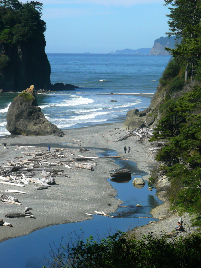 Ruby，Beach，Beach，Washington，Usa，景观，Ruby，Beach，Washington，海岸线