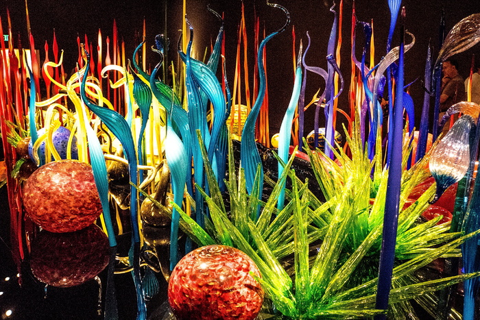 chihuly，glass，旅游，多彩，创意，生动，西雅图，华盛顿