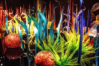 chihuly，glass，旅游，多彩，创意，生动，西雅图，华盛顿