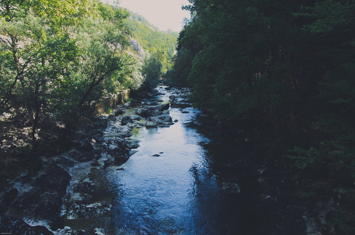 瑞士、boudry、areuse、tree、plant、water、nature、scenics-nature