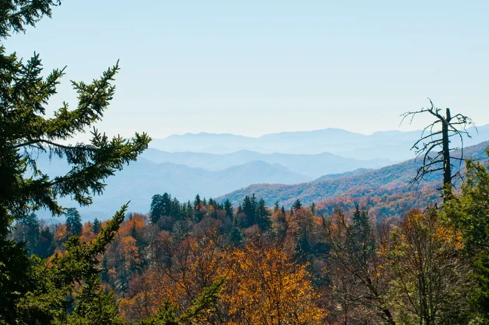 户外、公园、景观、烟雾山、风景、树叶、山脉、阿巴拉契亚山脉