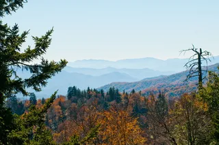 户外、公园、景观、烟雾山、风景、树叶、山脉、阿巴拉契亚山脉