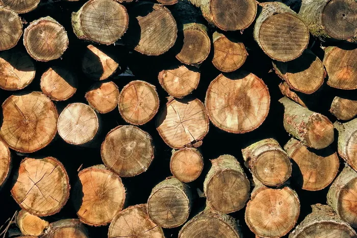 holzstapel，纹理，木材，自然，堆叠，梳子线切割，木材，原木