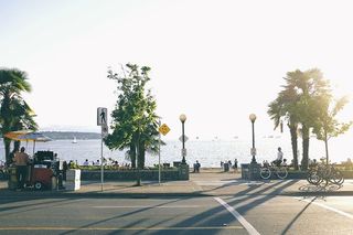 海岸，路，海，海岸，街道，水，树，植物