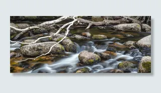 流动、河流、分散、岩石、水、沼泽、溪流、池塘
