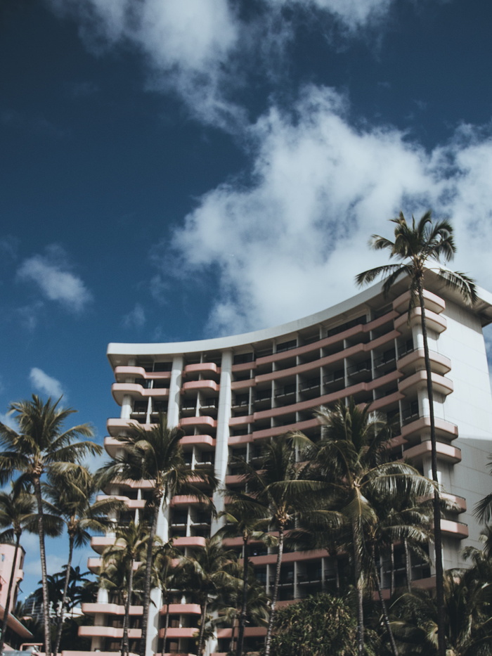 美国，檀香山，waikīkībeach，land，earch，beautiful，hotel，palm tree