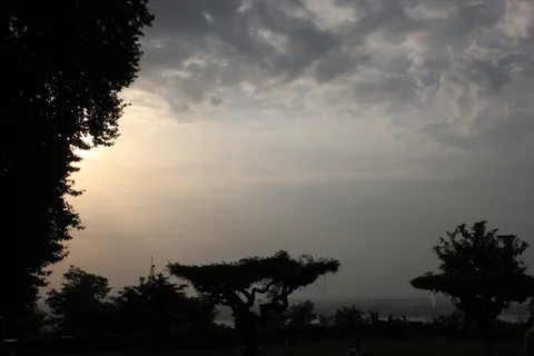 阳光, 树木, 阴影, 景观, 太阳, 自然, 天气, 户外 阳光, 树木, 阴影, 景观, 太阳, 自然, 天气, 户外