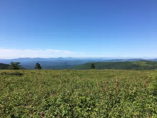 弗吉尼亚州格雷森高地，草地，天空，植物，环境，风景-自然，景观