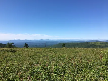弗吉尼亚州格雷森高地,草地,天空,植物,环境,风景-自然,景观 弗吉尼亚州格雷森高地,草地,天空,植物,环境,风景-自然,景观