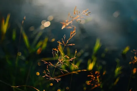 芬兰，赫尔辛基，劳塔萨里，抽象，水反射，下午，幻灯，绿色