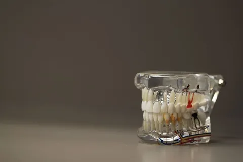 白色人造牙,白色,人造牙,牙科学,牙科,牙齿,模型,下颌 白色人造牙,白色,人造牙,牙科学,牙科,牙齿,模型,下颌