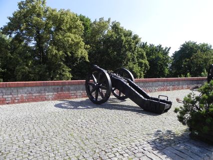 波兰，częstochowa，大炮，保护，防御，树木，树木，植物