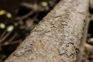 澳大利亚，旧，历史，侵蚀，海伦堡，旧海伦堡车站，火车，车站