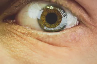 睁眼，隐形眼镜，皮肤，蛇，动物，爬行动物，肖像，锋利