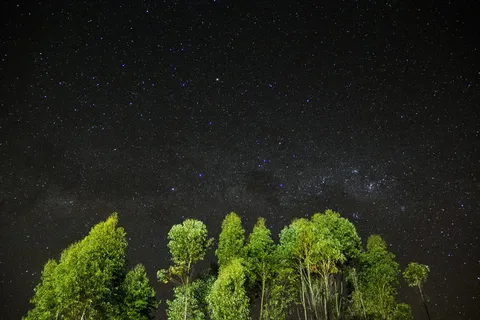 自然,天空,夜晚,太空,占星术,天文学,黑暗,夜晚 自然,天空,夜晚,太空,占星术,天文学,黑暗,夜晚