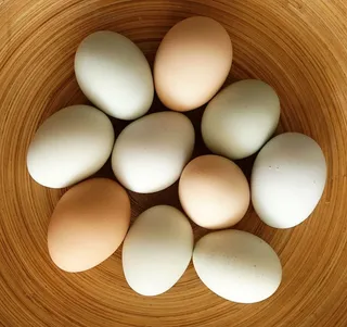 鸡蛋、食物、食物和饮料、室内、静物、正上方、健康、新鲜