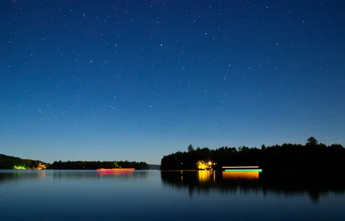 夜间树木轮廓的全景摄影