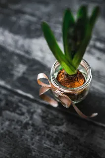 在一个小罐子里做一个小观赏幼苗的女人