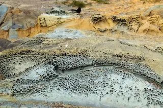 洞穴状，风化，塔夫尼，侵蚀，洞穴状风化，岩石，豆谷海滩，加利福尼亚