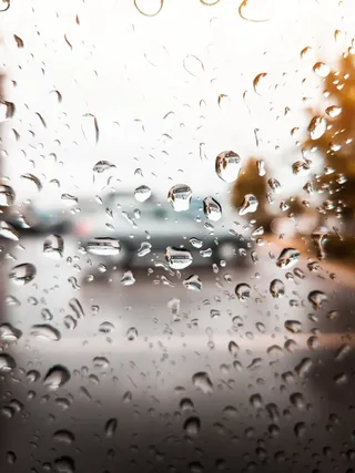 加拿大，汉密尔顿，雨，自然，宏，高清壁纸，滴水