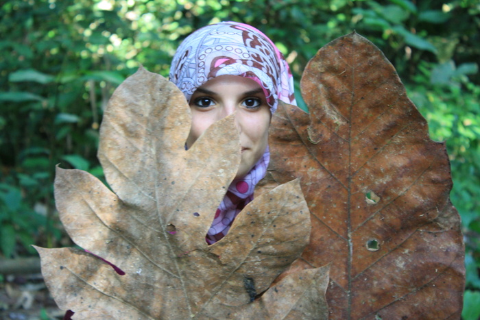 马来西亚, 吉隆坡塔汉, 马来西亚国家公园, 肖像, 看着相机, 一个人, 叶, 爆头