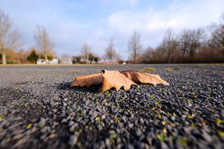 自然, 季节, 秋季, 天空, 冬天, 景观, schönwetter, 木