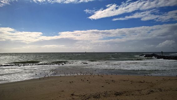 丹麦，北海，海滩，海鸥，海，天空，海岸，水
