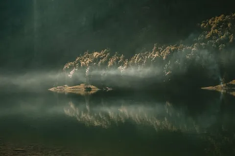 反射摄影,树木,身体,水,植物,自然,湖泊,反射 反射摄影,树木,身体,水,植物,自然,湖泊,反射