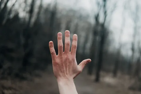 人的左手外侧的浅焦点摄影 人的左手外侧的浅焦点摄影