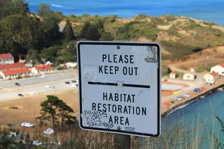 禁止进入、卡特尔、指示、白色、文字、通信、标志、西文脚本