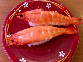 寿司，日本料理，日语，食物，烹饪，日本，大米，美食