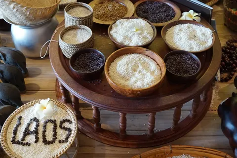 老挝、谷物、食品、贝壳、食品、展览、意大利、世博会 老挝、谷物、食品、贝壳、食品、展览、意大利、世博会