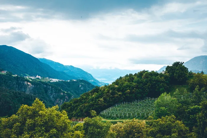 葡萄酒，意大利，风景，小山，小山，高山，高山，阿尔卑斯山