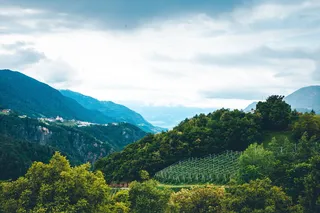 葡萄酒，意大利，风景，小山，小山，高山，高山，阿尔卑斯山