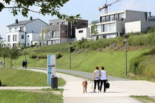 狗，散步，加西，皮带，狗皮带，动物，去散步，去