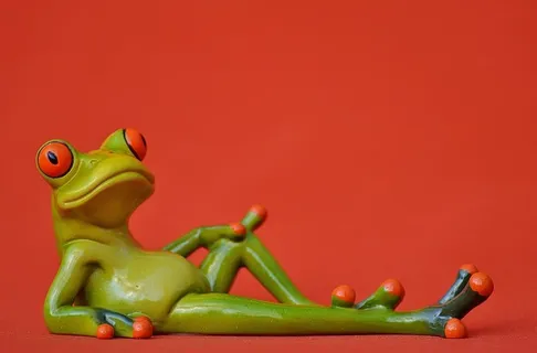 绿青蛙摄影,绿青蛙,摄影,青蛙,躺着,放松,可爱,休息 绿青蛙摄影,绿青蛙,摄影,青蛙,躺着,放松,可爱,休息