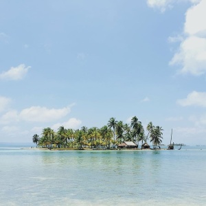 海滩，海岸线，岛屿，自然，海洋，棕榈树，海洋，海景