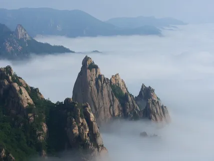 棕色、山地、雾、白天、大韩民国、谢拉山、恐龙线、海洋云 棕色、山地、雾、白天、大韩民国、谢拉山、恐龙线、海洋云