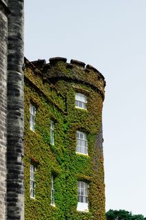 青苔覆盖的灰色城堡