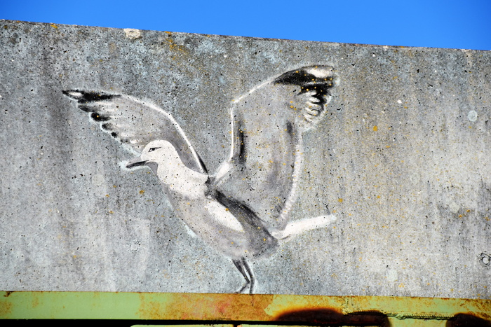 动物，鸟，艺术，墙，格鲁克施塔特，阿姆哈芬53，德国，涂鸦