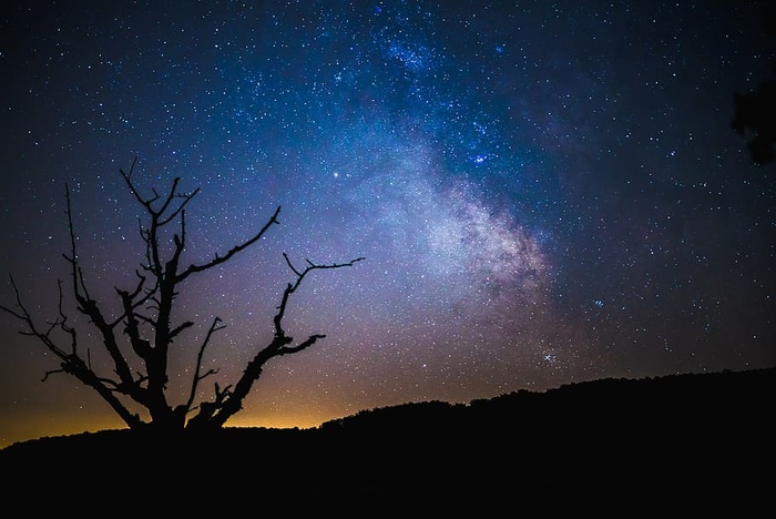 宇宙，黑暗，星系，夜晚，轮廓，天空，星星，树