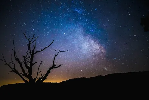 宇宙,黑暗,星系,夜晚,轮廓,天空,星星,树 宇宙,黑暗,星系,夜晚,轮廓,天空,星星,树