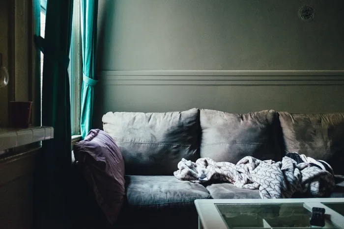 美国，旧金山，窗户，灯，沙发，过夜，早晨，舒适