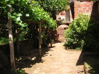 法语，藤蔓，村庄，阴影，砂岩，房子法国，树，建筑