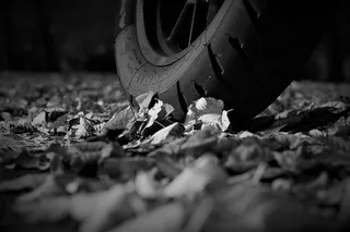 引擎, 宝马, f700gs, Gs, 植物部分, 叶, 选择性焦点, 自然